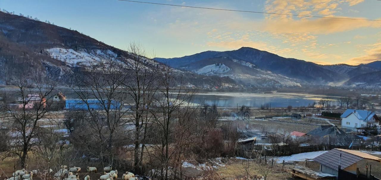 Вілла Casa Yla П'ятра-Нямц Екстер'єр фото